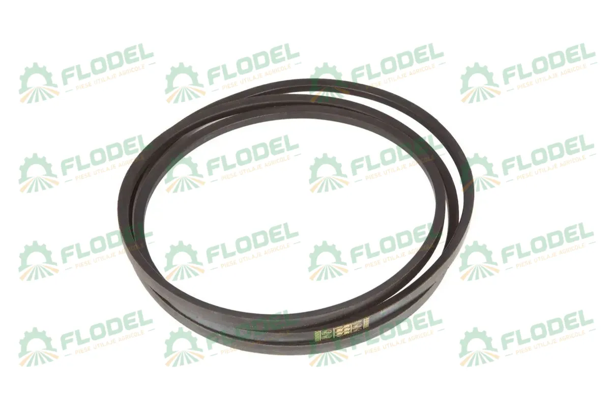 [FLO00376] Curea combina CLAAS 821734 GATES