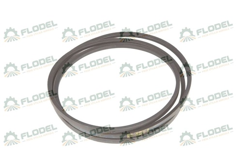 [FLO00376] Curea combina CLAAS 821734 GATES