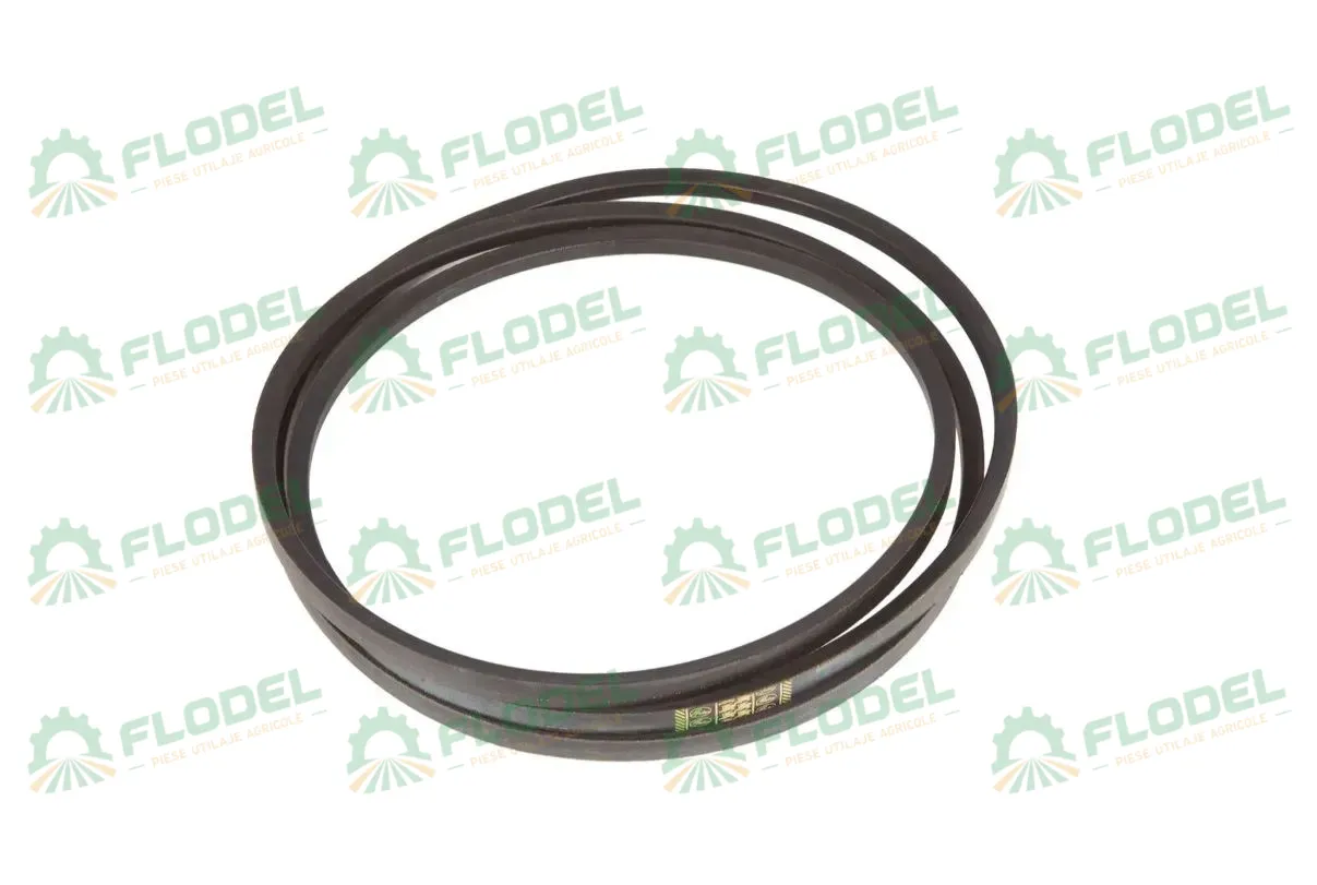 [FLO00376] Curea combina CLAAS 821734 GATES