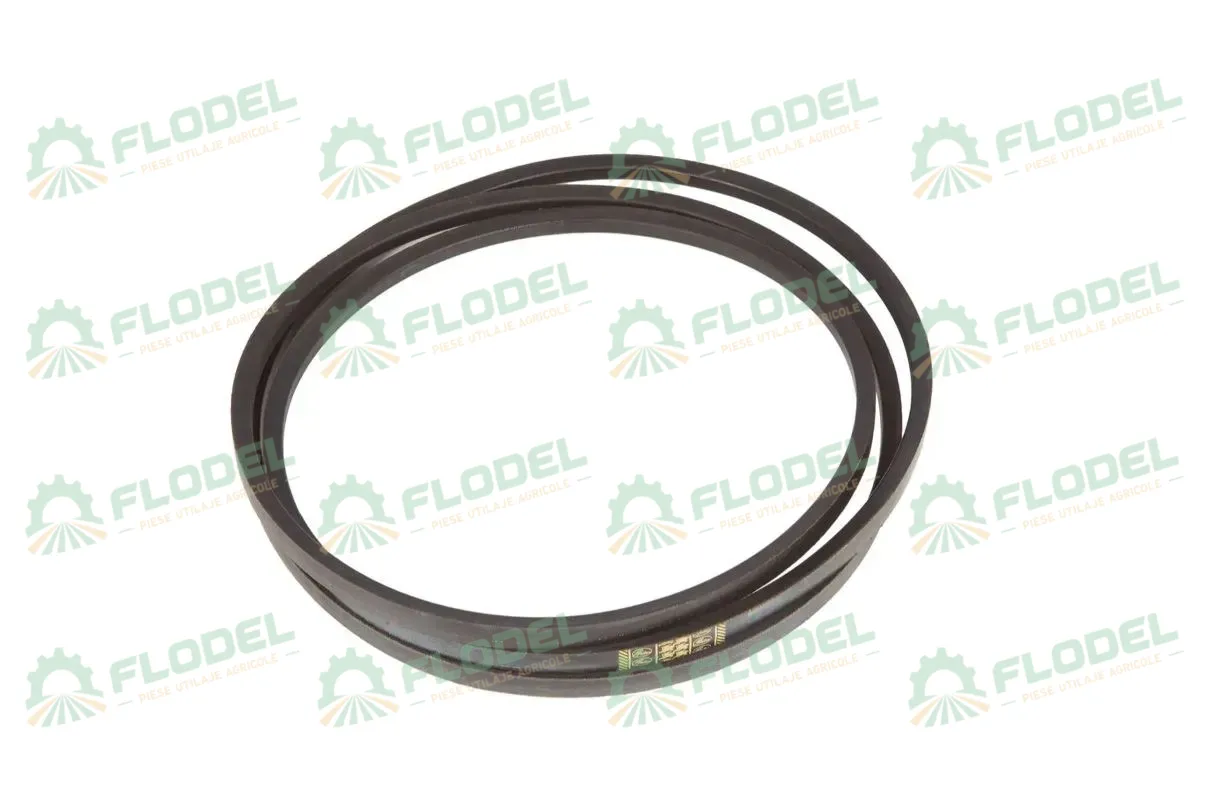 [FLO00376] Curea combina CLAAS 821734 GATES
