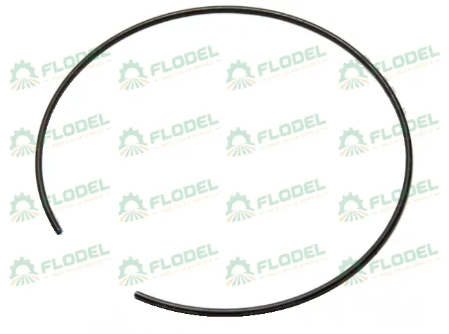 [FLO00585] Arc 720779
