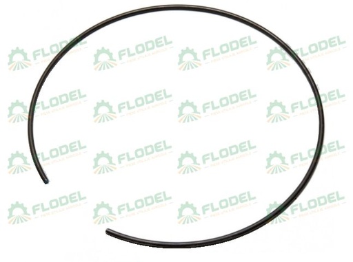 [FLO00585] Arc 720779