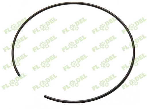 [FLO00585] Arc 720779