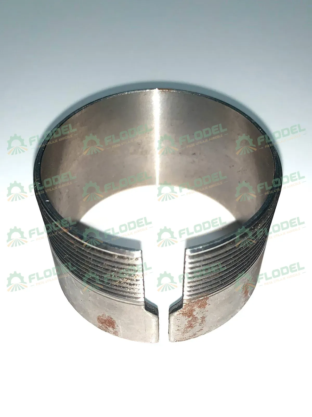 [FLO00749] Bucsa metal despicata