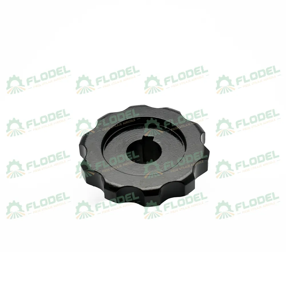 [FLO00946] Pinion GERINGHOFF 032027 [Z10]