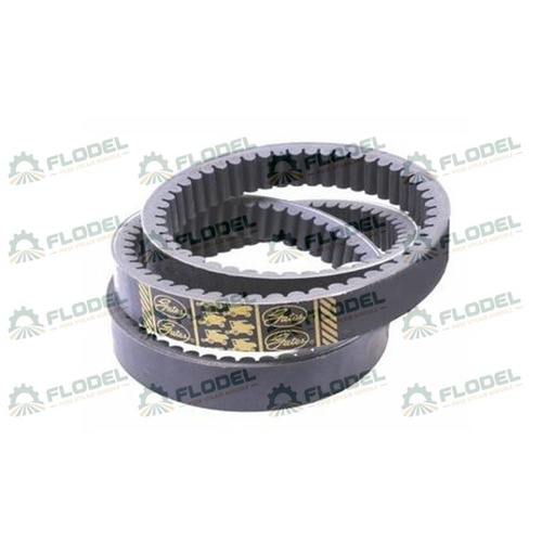 [FLO01061] Curea combina CLAAS 629737 GATES