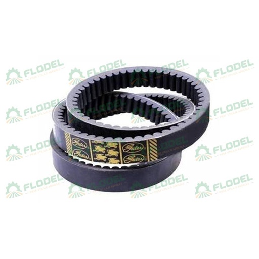 [FLO01061] Curea combina CLAAS 629737 GATES