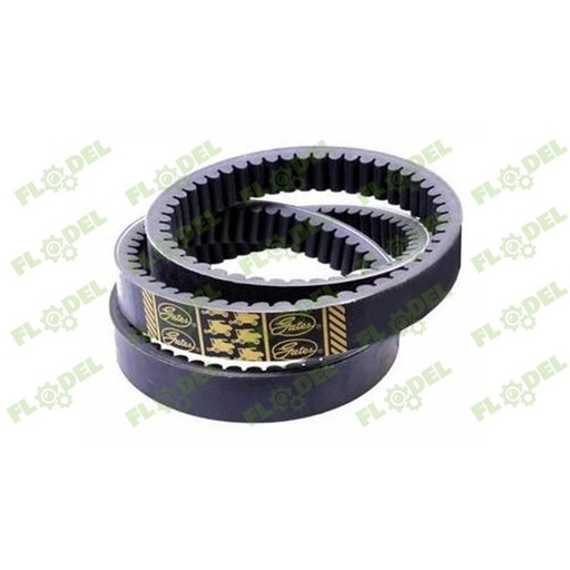 [FLO01061] Curea combina CLAAS 629737 GATES