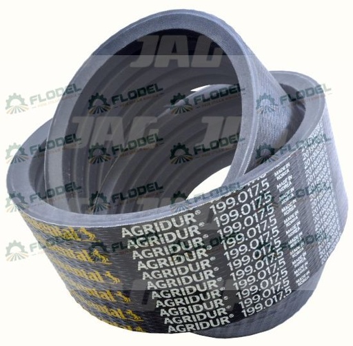 [FLO01106] Curea combina CLAAS [5HB] 661092 Gates