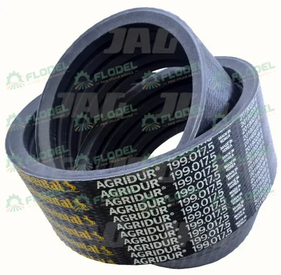 [FLO01106] Curea combina CLAAS [5HB] 661092 Gates