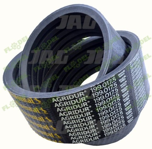 [FLO01106] Curea combina CLAAS [5HB] 661092 Gates