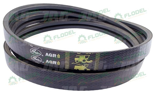 [FLO01118] Curea  3450cm L, 7,5cm l