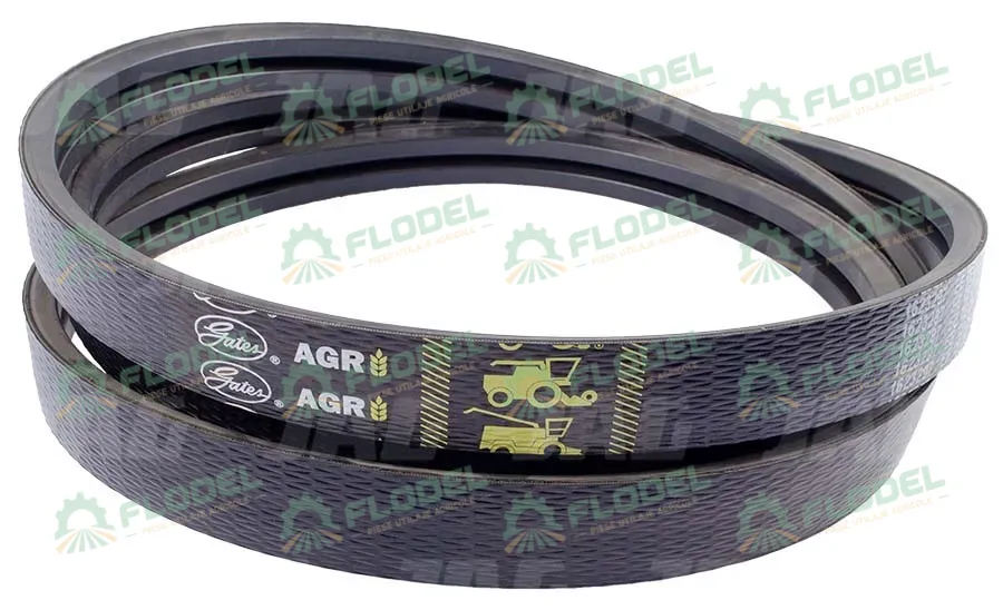 [FLO01118] Curea  3450cm L, 7,5cm l