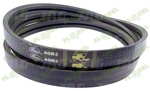 [FLO01118] Curea  3450cm L, 7,5cm l