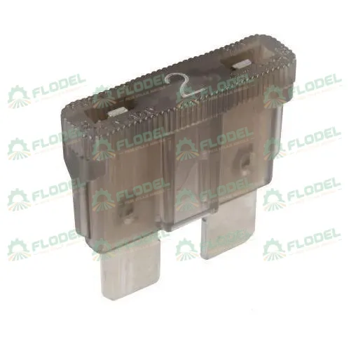 [FLO01038] Siguranta electrica standard 2A