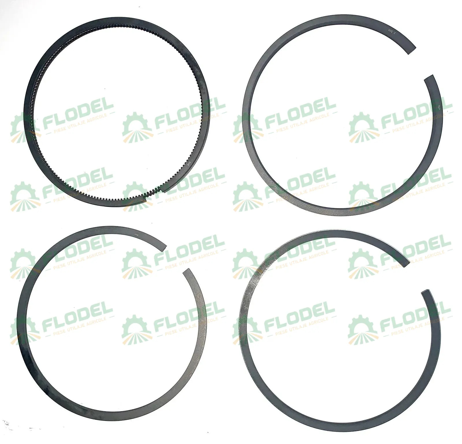 [FLO01264] Set segmenti motor PERKINS
