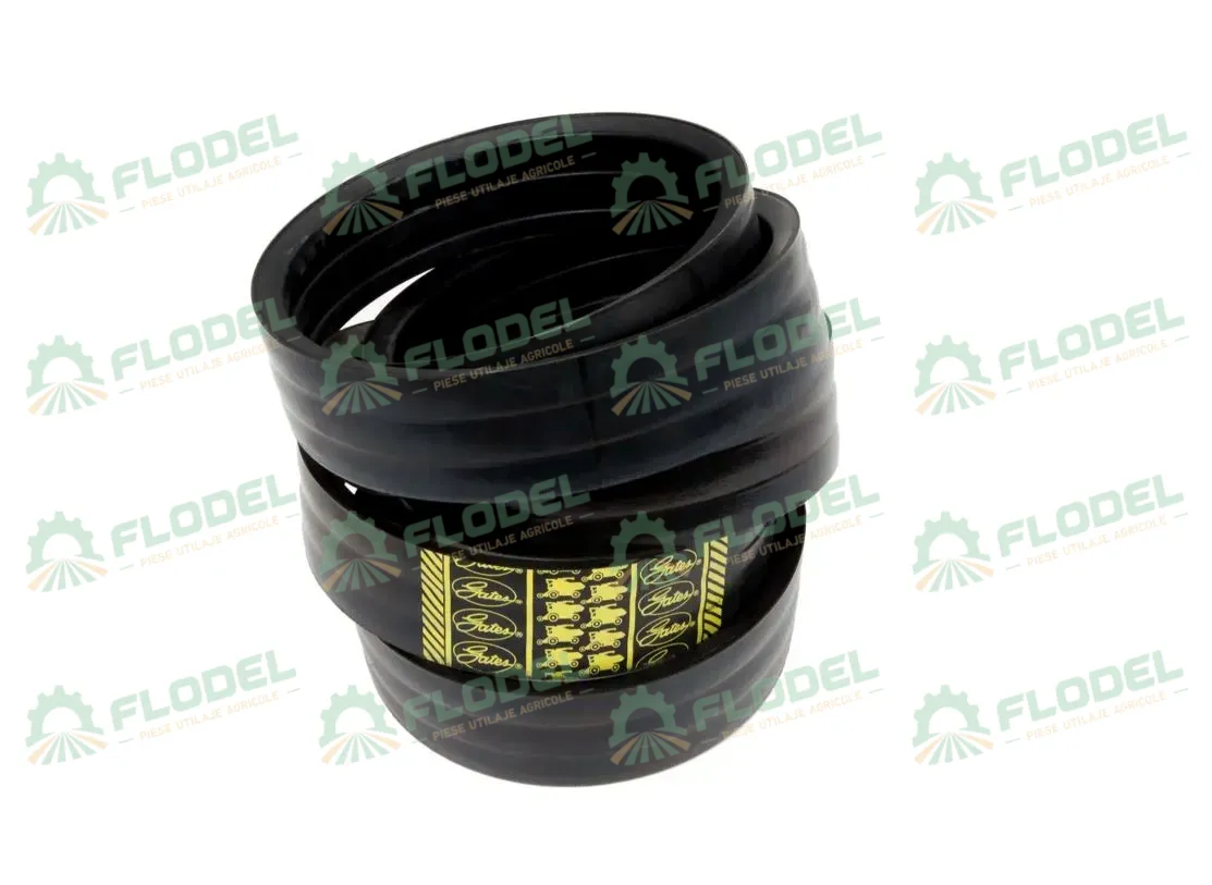 [FLO01707] Curea combina CLAAS 3HB 609822 GATES