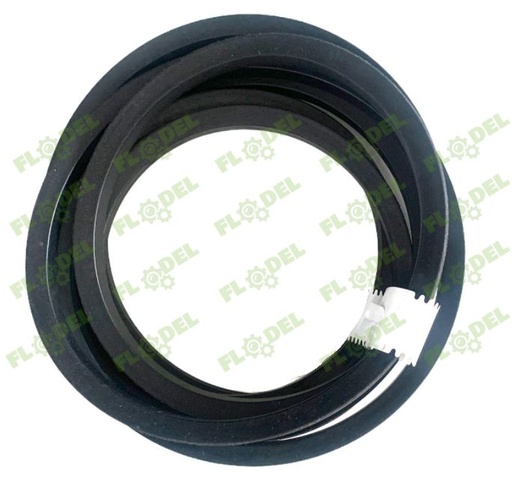 [FLO01710] Curea  combina CLAAS 603017 GATES