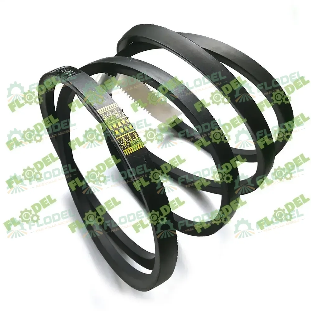 [FLO01710] Curea  combina CLAAS 603017 GATES
