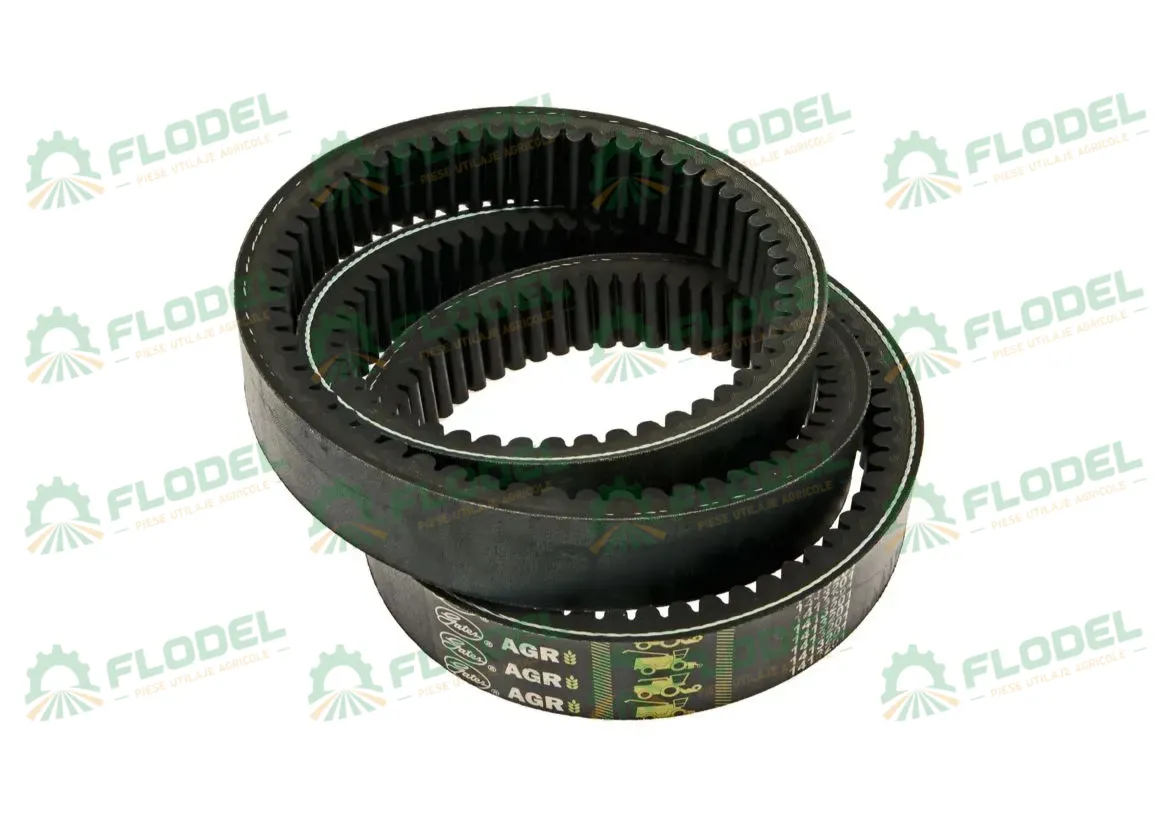 [FLO01711] Curea combina CLAAS 609823 GATES