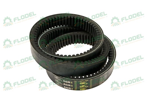 [FLO01711] Curea combina CLAAS 609823 GATES
