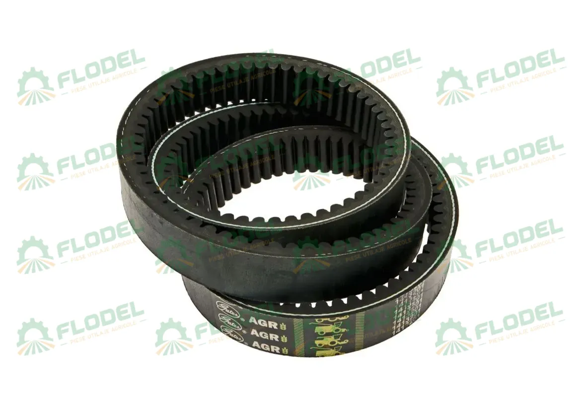 [FLO01711] Curea combina CLAAS 609823 GATES