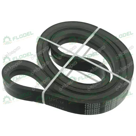 [FLO01712] Curea combina CLAAS  629769 [2HB] GATES