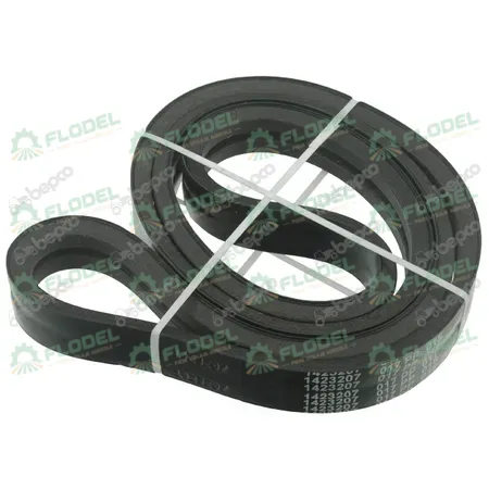 [FLO01712] Curea combina CLAAS  629769 [2HB] GATES