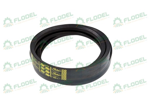 [FLO01876] Curea 2HB combina CLAAS 644889 GATES