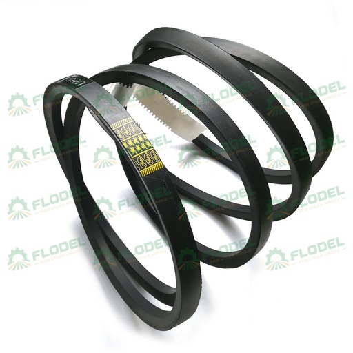 [FLO01719] Curea combina CLAAS 603337 GATES