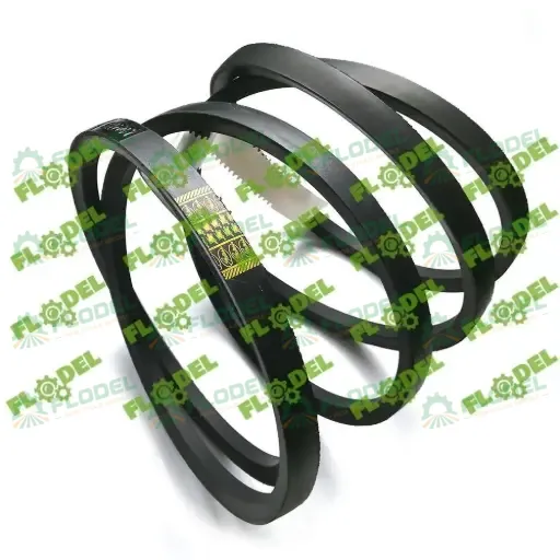 [FLO01877] Curea combina CLAAS 667454 GATES 