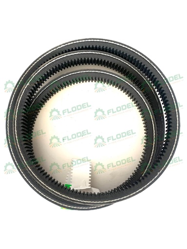 [FLO01720] Curea combina CLAAS 603380 GATES