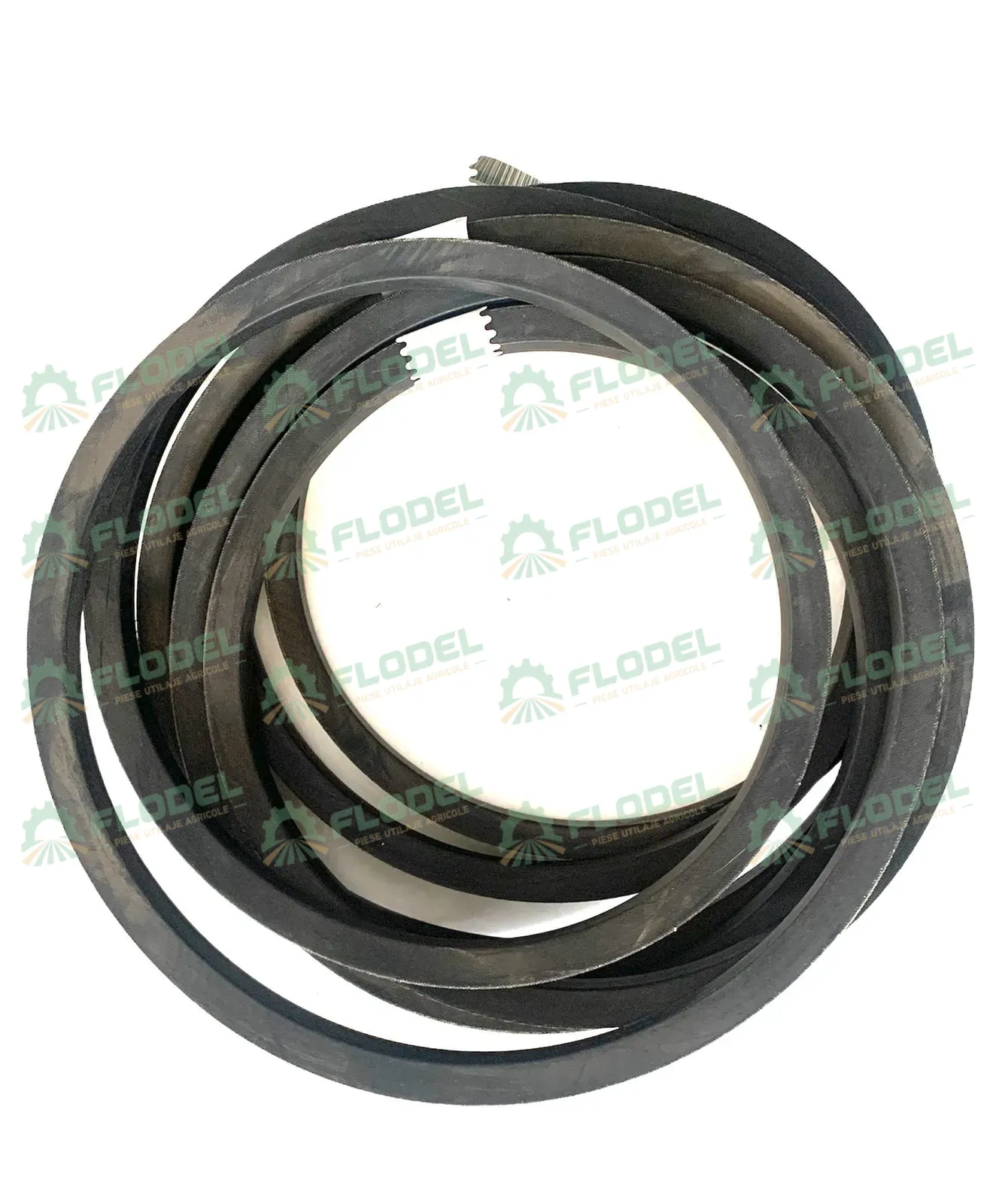 [FLO01721] Curea Gates 644399 6794x22mm Mega 208/218