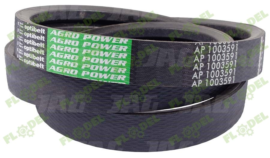 [FLO01880] Curea combina CLAAS 2HB Optibelt 667249