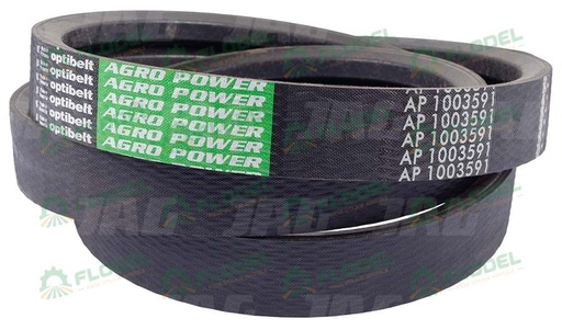 [FLO01880] Curea combina CLAAS LEXION [2HB] 667249 OPTIBELT
