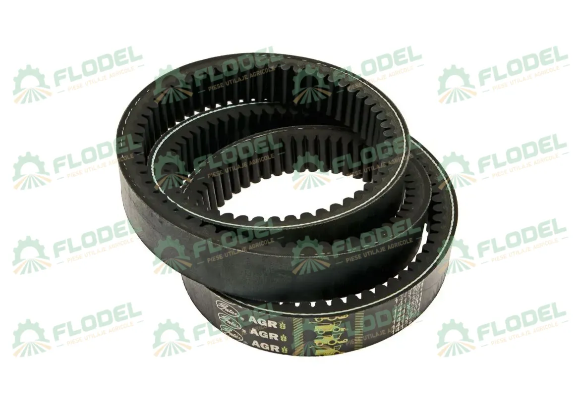 [FLO01840] Curea variator CLAAS 603317 GATES