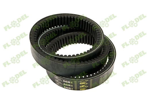 [FLO01840] Curea variator CLAAS 603317 GATES