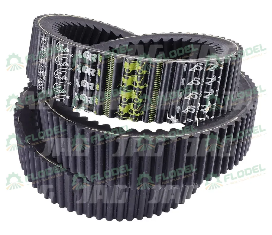 [FLO01955] Curea variator CLAAS LEXION 667248 GATES