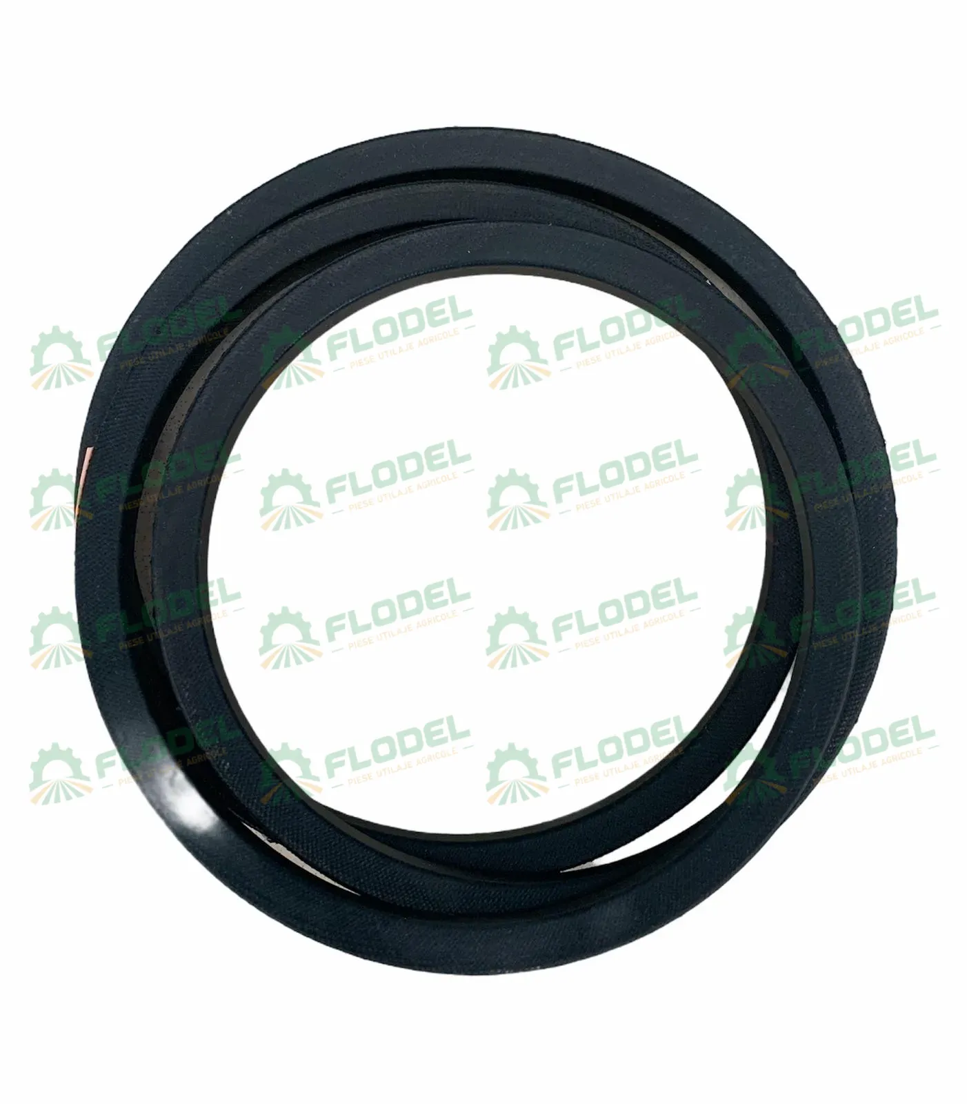 [FLO02113] Curea 545668