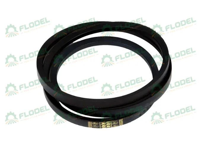 [FLO02367] Curea combina CLAAS 661244 GATES