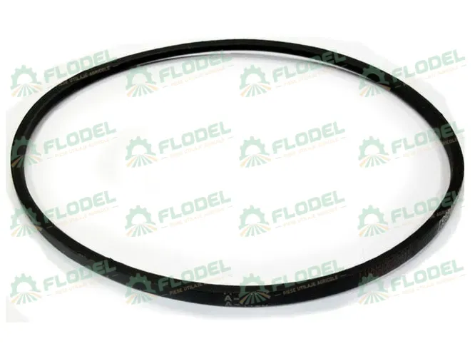[FLO02574] Curea CLAAS 661345 GATES
