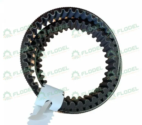 [FLO02575] Curea CLAAS 695610 GATES