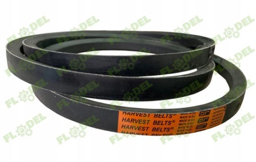 [FLO02648] Curea Continental