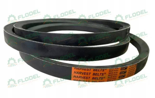 [FLO02648] Curea Continental