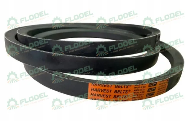 [FLO02648] Curea Continental