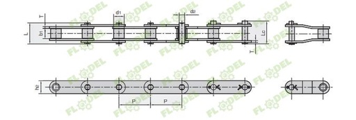 [FLO02699] Lant heder porumb Bourgoin DONGHUA, 5m