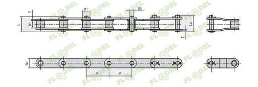 [FLO02699] Lant heder porumb Bourgoin DONGHUA, 5m