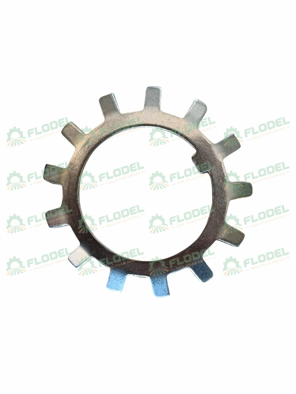[FLO02728] Placa siguranta