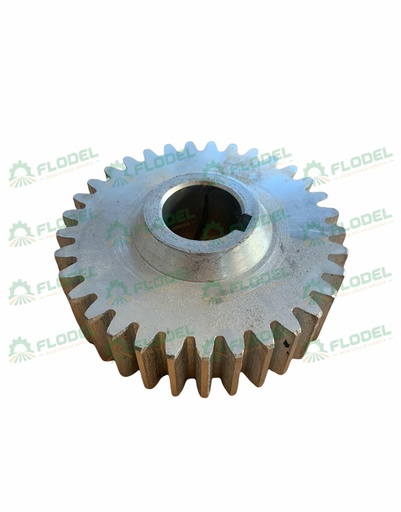 [FLO02739] Pinion OLIMAC  DR12140 [Z-33]