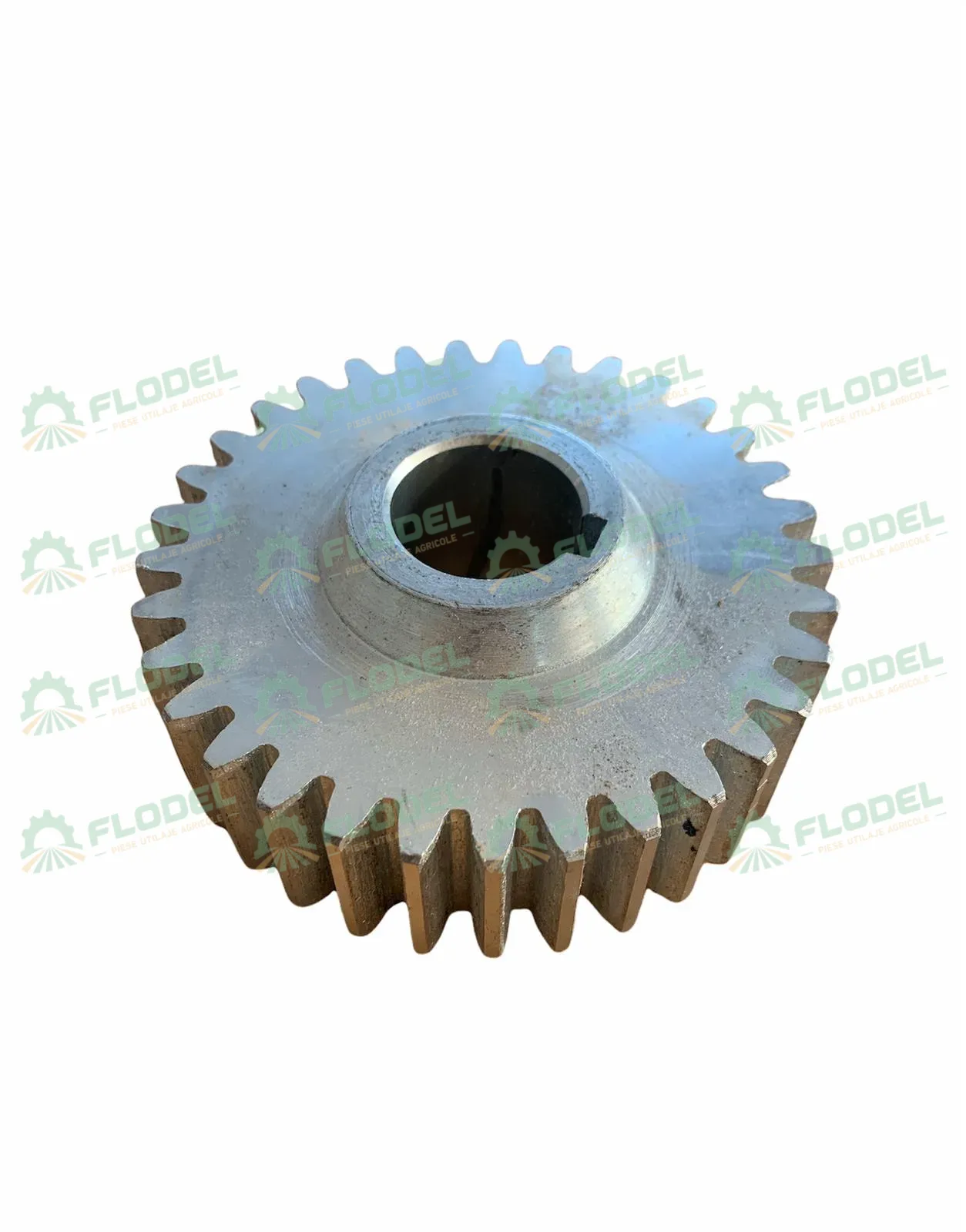 [FLO02739] Pinion OLIMAC  DR12140 [Z-33]